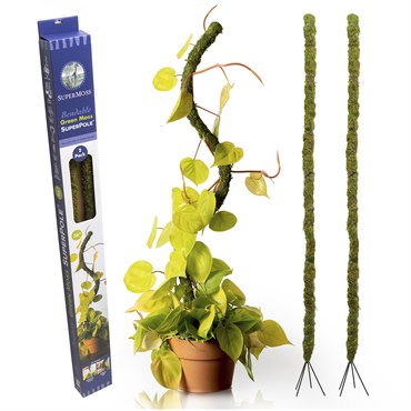 SuperMoss Bendable Moss Pole