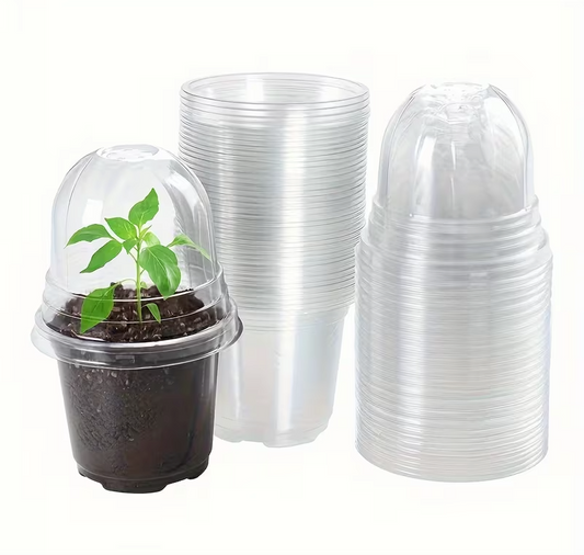 Nursery Pot with Humidity Dome