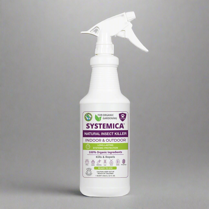 SNS Systemica