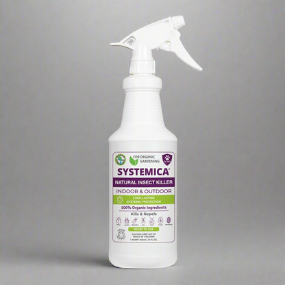 SNS Systemica