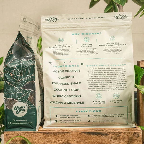 Circle Soil Houseplant Potting Mix