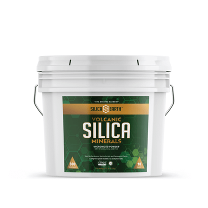 Silica Earth Micronized Silica Minerals