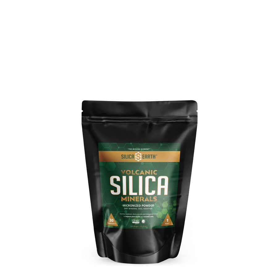 Silica Earth Micronized Silica Minerals