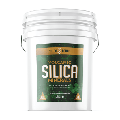 Silica Earth Micronized Silica Minerals