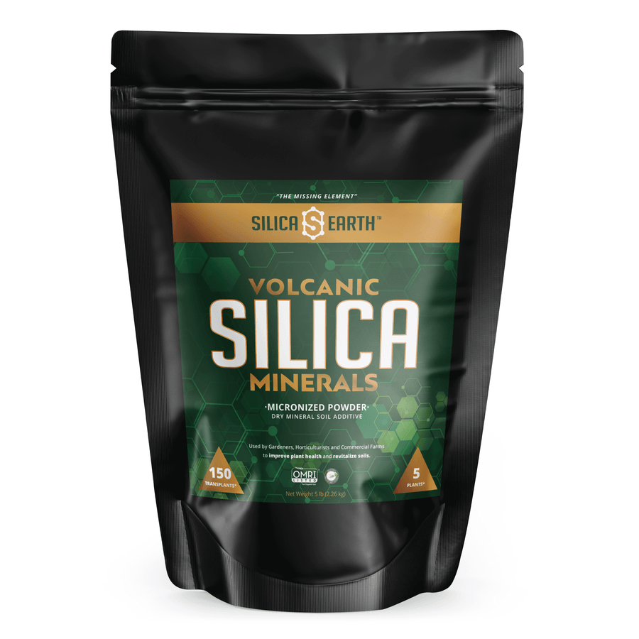 Silica Earth Silica Minerals - Thumbnail 2