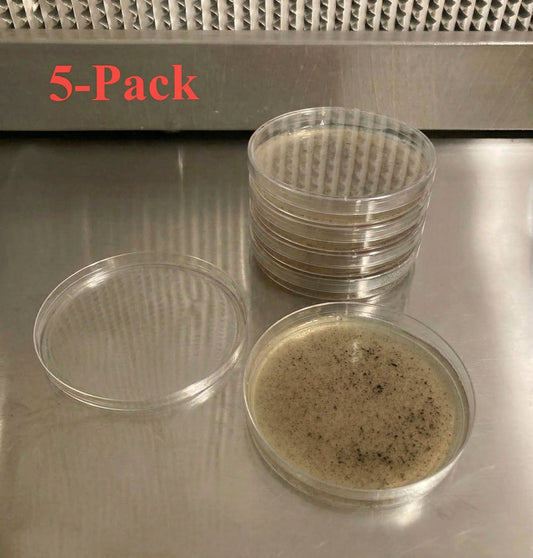 Pre-Poured Willy’s Blend Manure Enriched Agar Plates