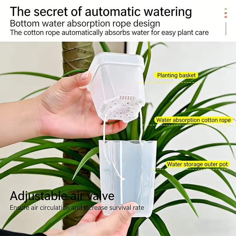 Mini Transparent Self-Watering Planter Pots
