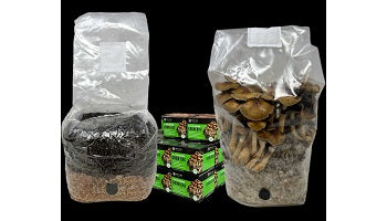 All-in-One Mushroom Grow Bag (4 lbs) for Manure Loving Mushrooms