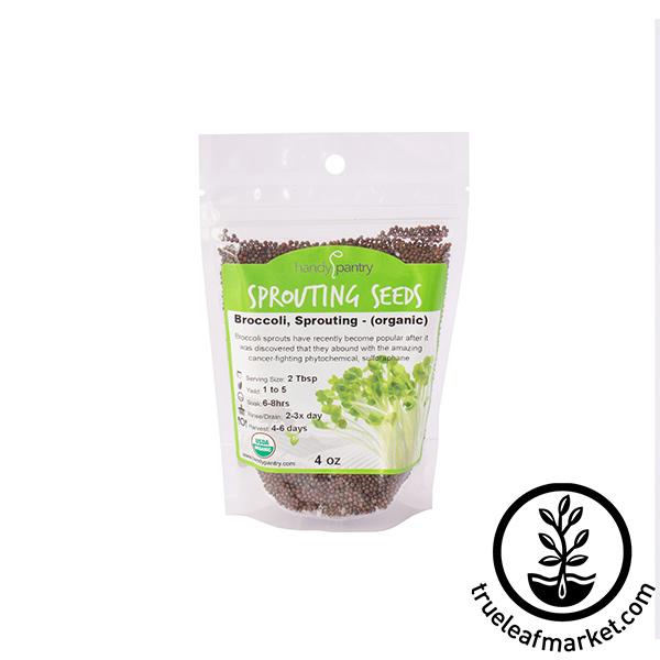 Handy Pantry Broccoli Sprouting Seeds