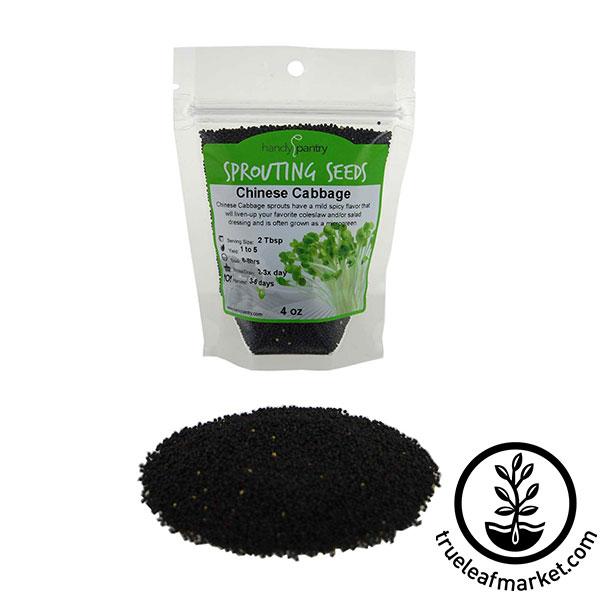 Handy Pantry Chinese Cabbage Sprouting Seeds