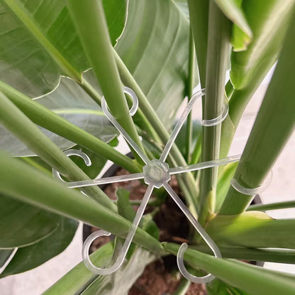 Transparent Plant Support Frames