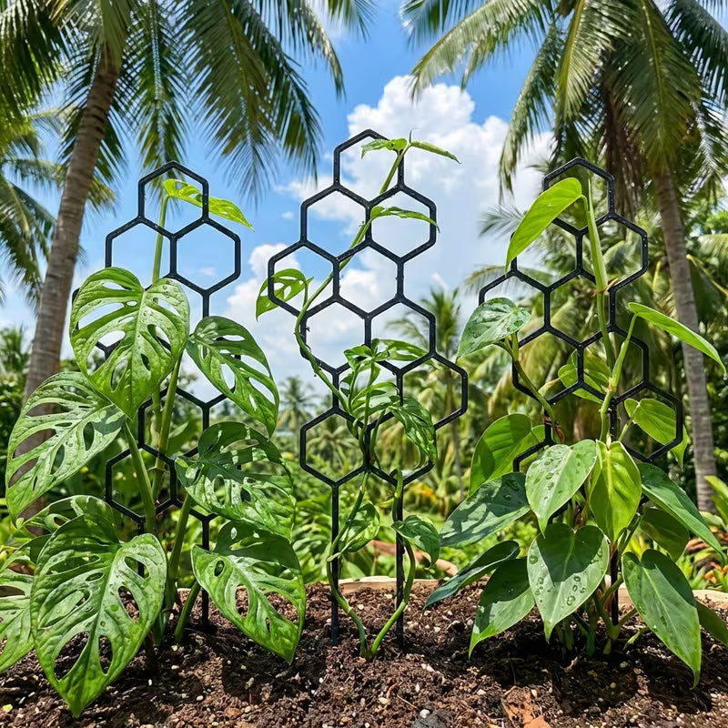 Honeycomb Plant Support