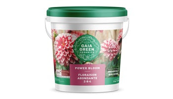 Gaia Green Power Bloom