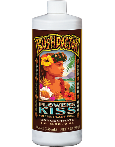 Bush Doctor Flowers Kiss