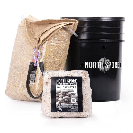 NorthSpore 'MushBucket' Mushroom Bucket Grow Kit Oysters