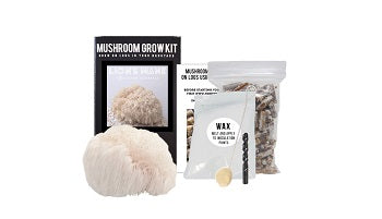 Log Growing Kit - Lion's Mane - Thumbnail 2