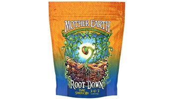 Mother Earth Root Down Starter Mix