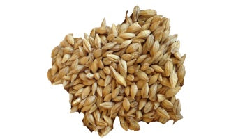 Barley - Organic Sprouting Barley 9lb