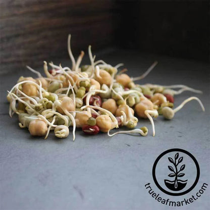 Handy Pantry Sprouting Seeds - Protein Powerhouse