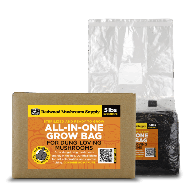RMS Dung-Loving AIO Grow Bag – Sterilized All-in-One Substrate with Grain