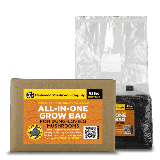 RMS Dung-Loving AIO Grow Bag – Sterilized All-in-One Substrate with Grain