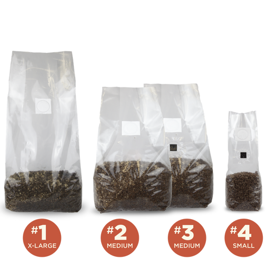 Sakato PP Mushroom Grow Bags