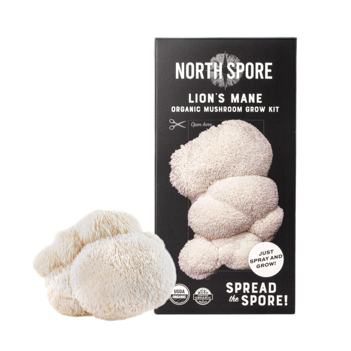 Organic Lion's Mane ‘Spray & Grow’ Kits