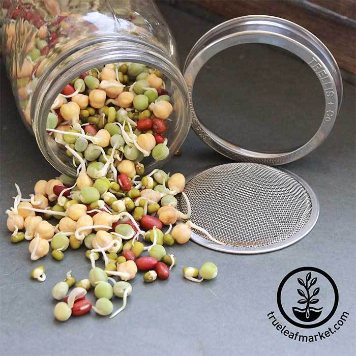 Sprouting Jar Kits Handy Pantry 32oz plastic