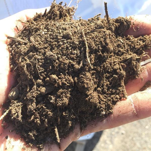 Colorado Pinto Bean Compost 11LB