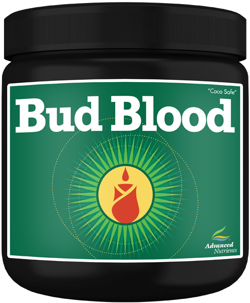 Bud Blood Powder 500g