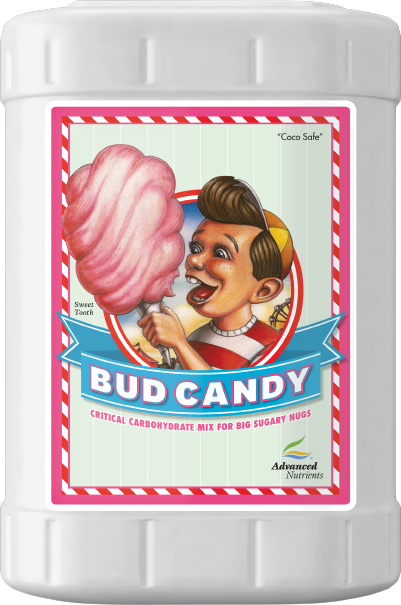 Bud Candy 23L