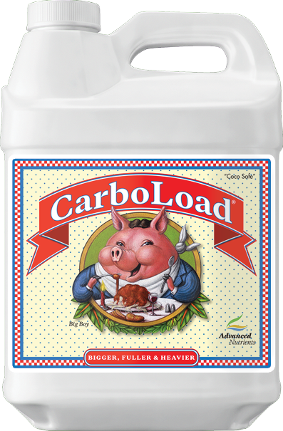 CarboLoad 10L