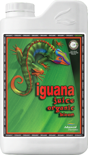 OG Organics Iguana Juice Bloom