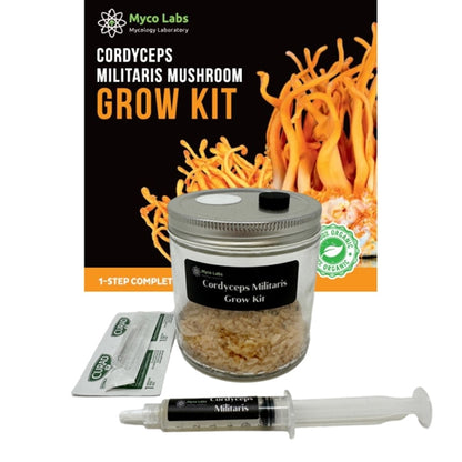 Midwest Cordyceps Militaris Complete Grow Kit (16oz Jar)