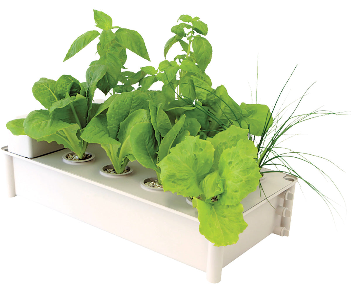 Salad Box Hydroponic Salad Garden Kit