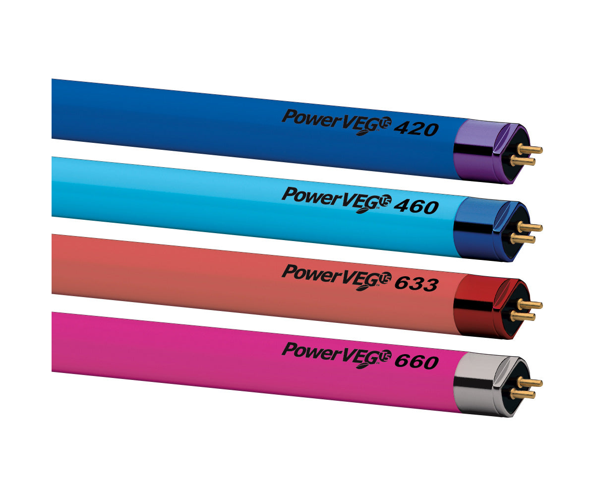 Hortilux PowerVEG T5 2' Multi-Color Pack (24, assorted)