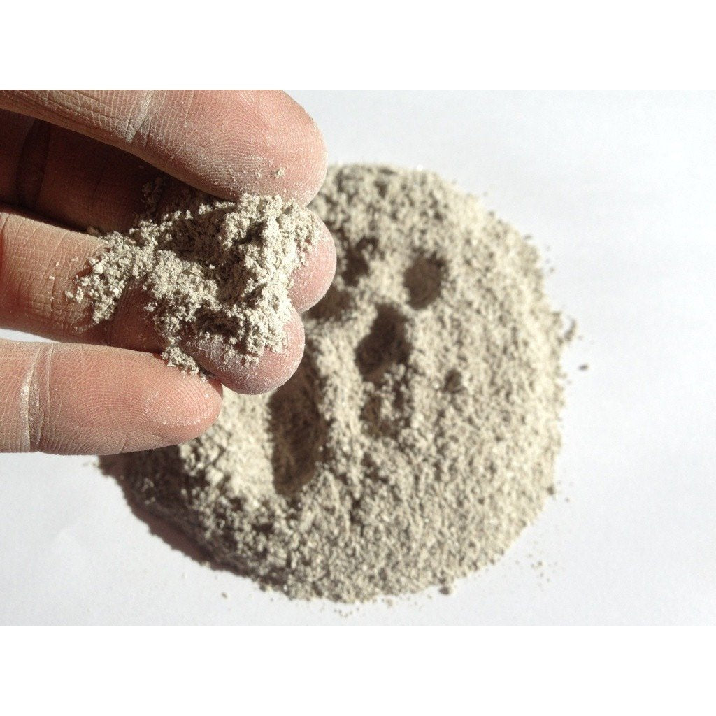 BuildASoil Oyster Shell Flour