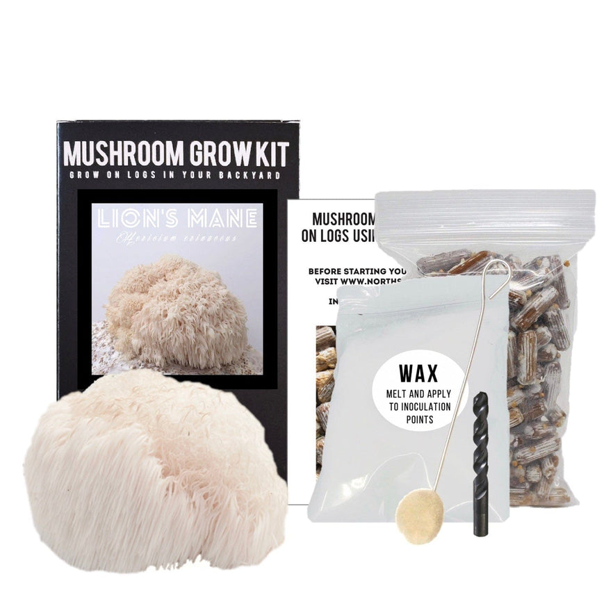 Log Growing Kit - Lion's Mane